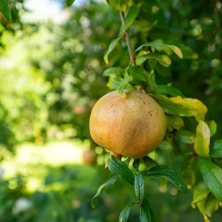 Daire Loft Beata Da Basel Quartu SantʼElena