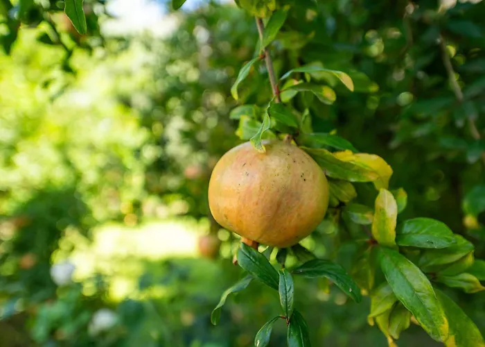 Apartmán Loft Beata Da Basel Quartu SantʼElena